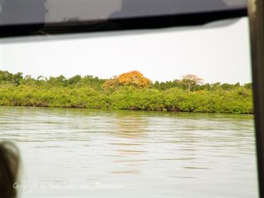 Gambia 05 Ausflug ins Saloum-Delta und zur Insel Ginack,_DSC00836b_B740